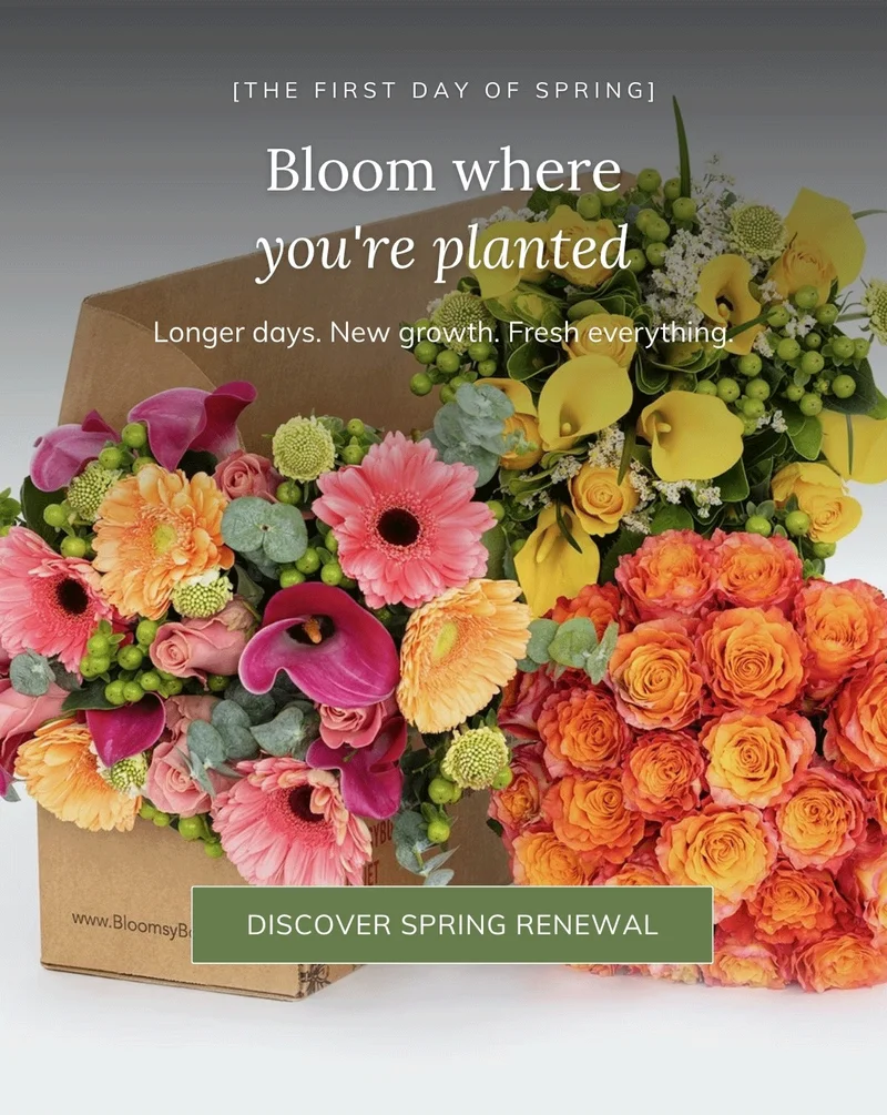 Shop Spring Self Care