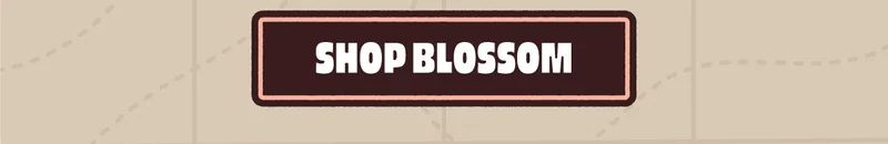 Shop Blossom