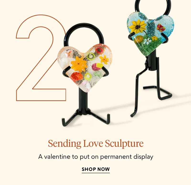 shop now
