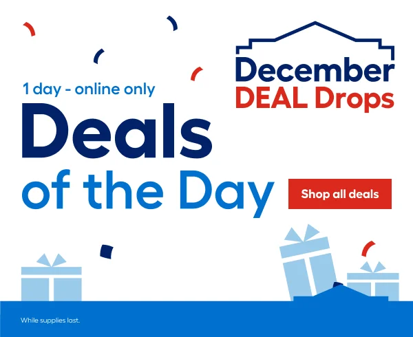 1 Day - Online Only Deal of the Day.