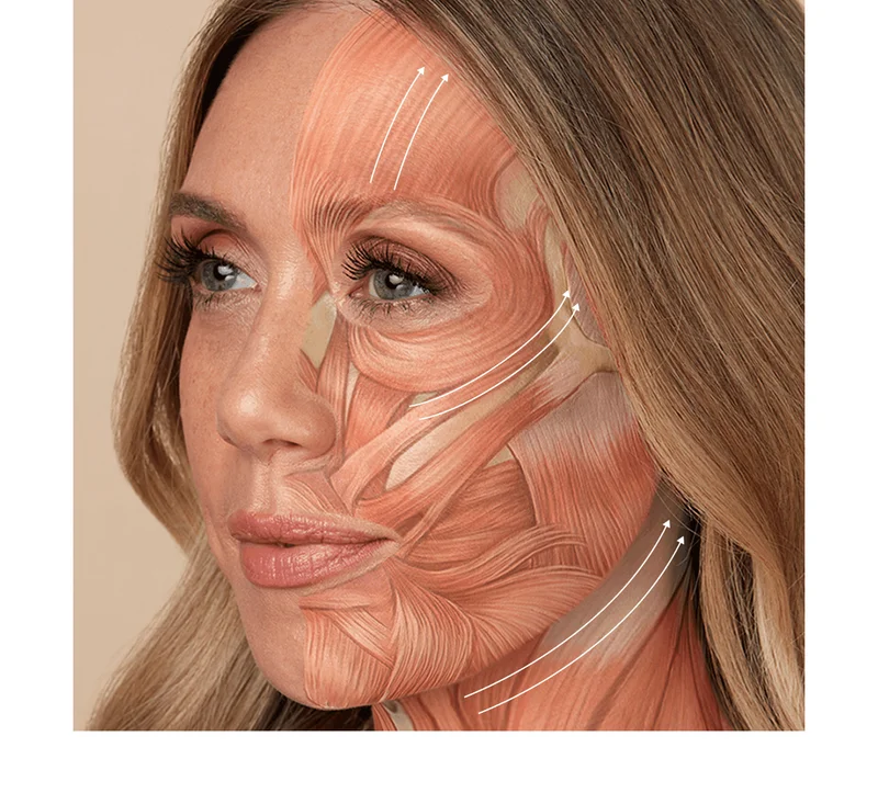 Infographic of Facial Muscles