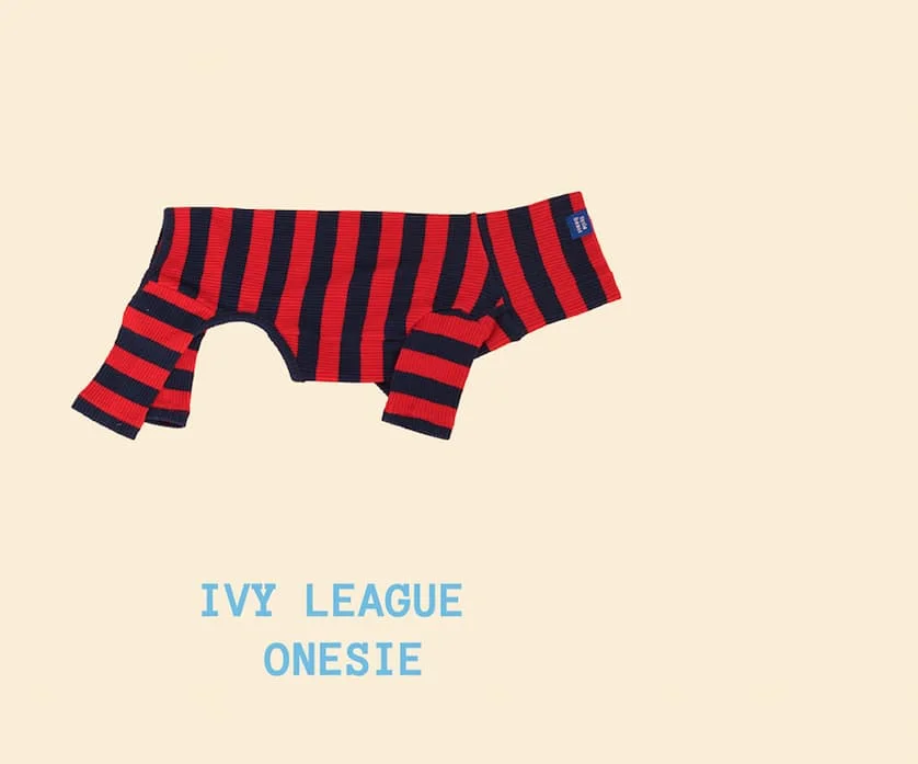 Ivy League Onesie