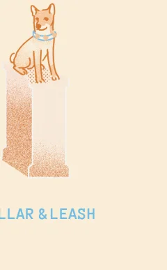 Collar & Leash