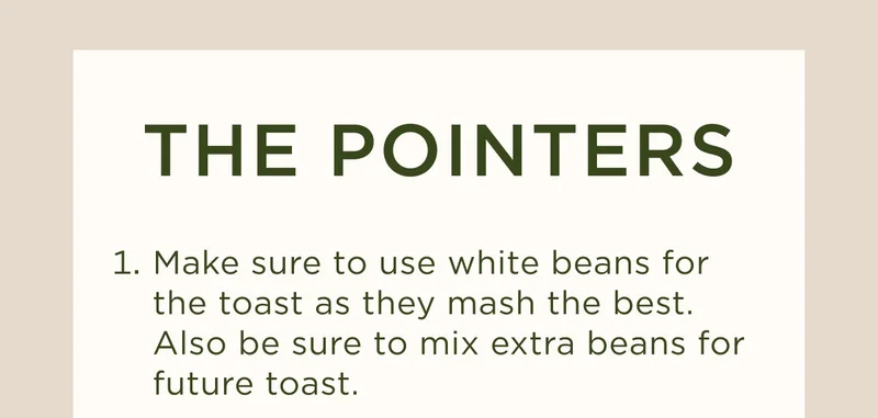 THE POINTERS