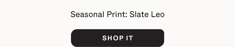 Seasonal Print: Slate Leo