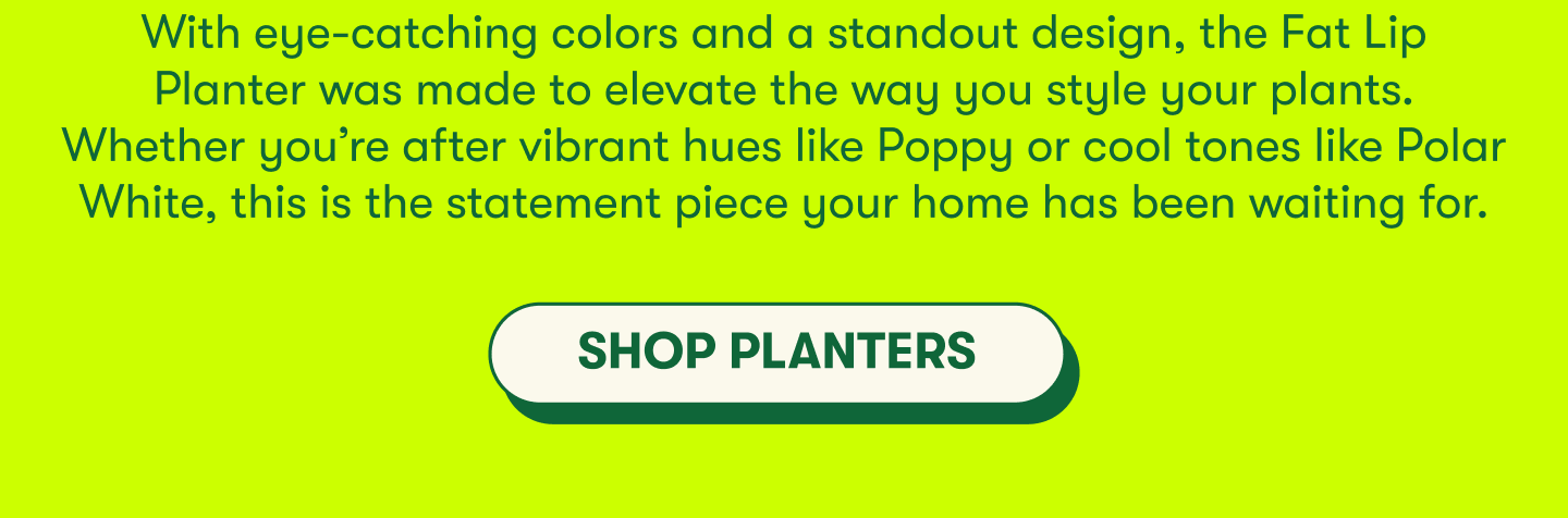 With eye-catching colors and a standout design, the Fat Lip Planter was made to elevate the way you style your plants. Whether you’re after vibrant hues like Poppy or cool tones like Polar White, this is the statement piece your home has been waiting for.   [SHOP PLANTERS]