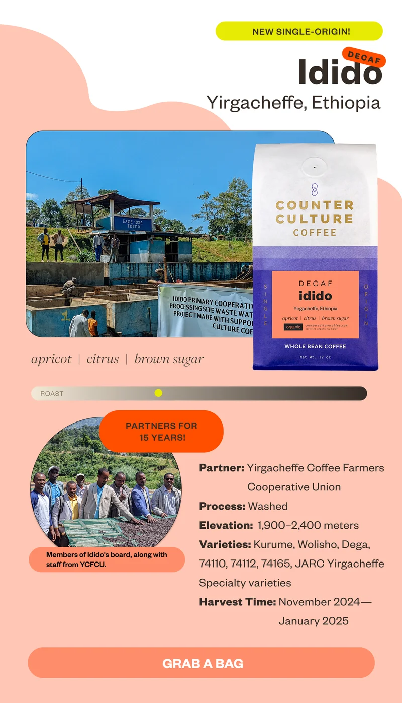 New Single-Origin Idido Decaf Yirgacheffe, Ethiopia apricot citrus brown sugar partners for 15 yeaersProcess: Washed  Elevation: 1,900–2,400 masl Varieties: Kurume, Wolisho, Dega,  74110, 74112, 74165, JARC Yirgacheffe Specialty varieties Grab a bag