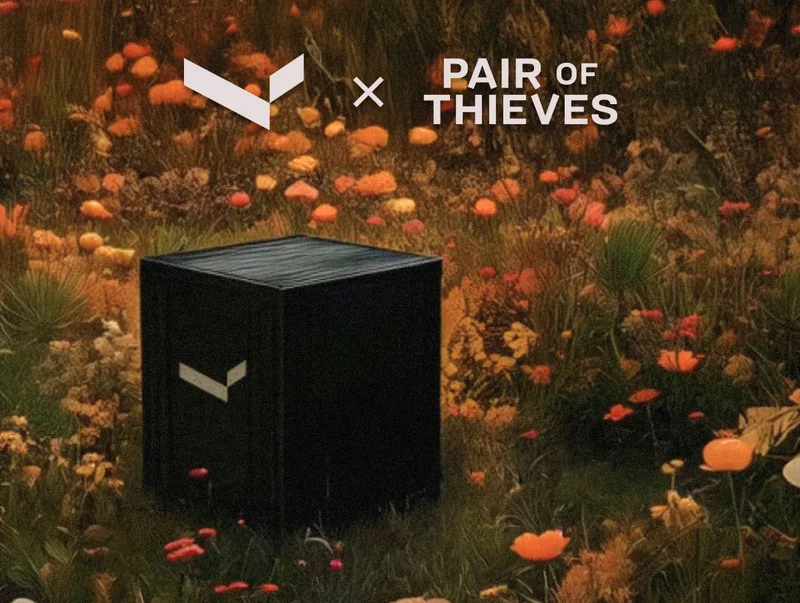 Valt x Pair of Thieves