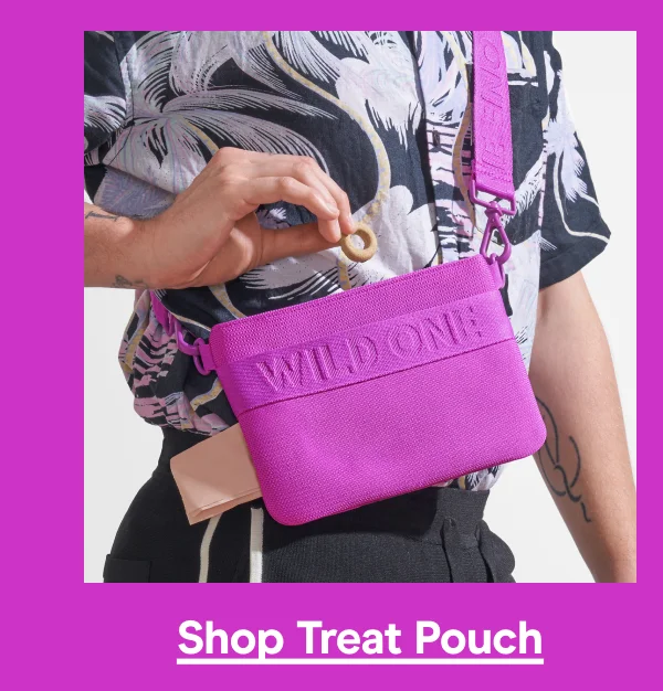 treat pouch