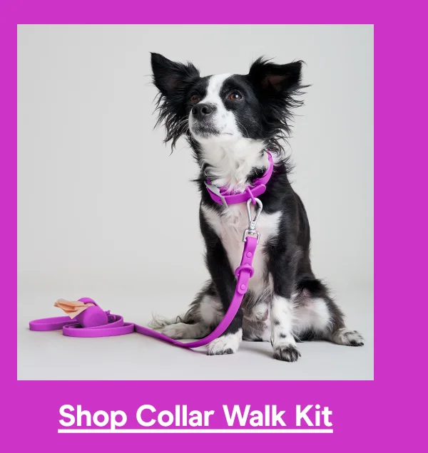 collar walk kit