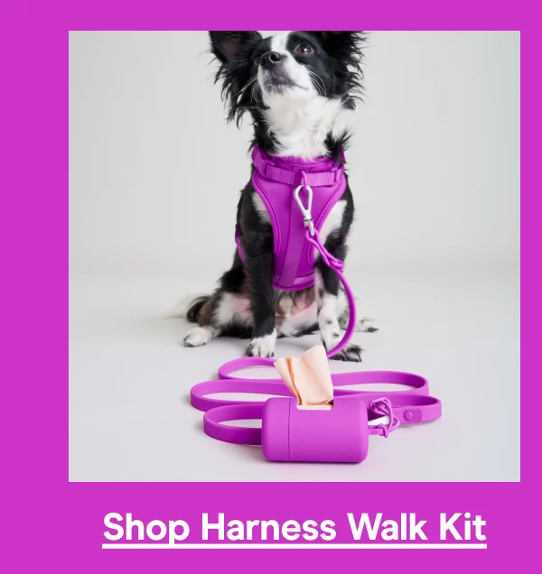 harness walk kit