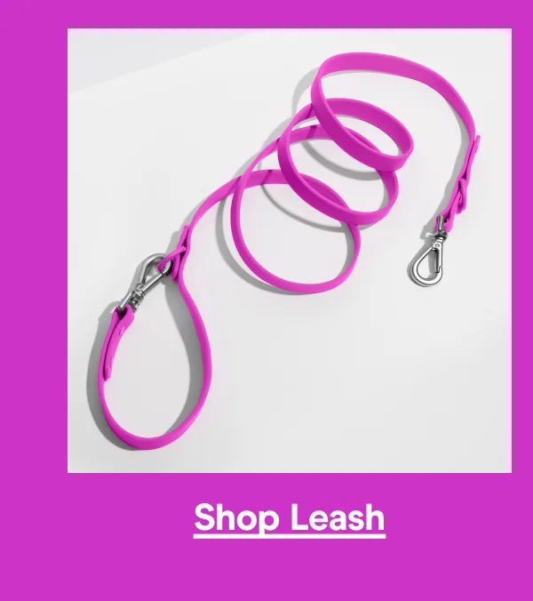 leash