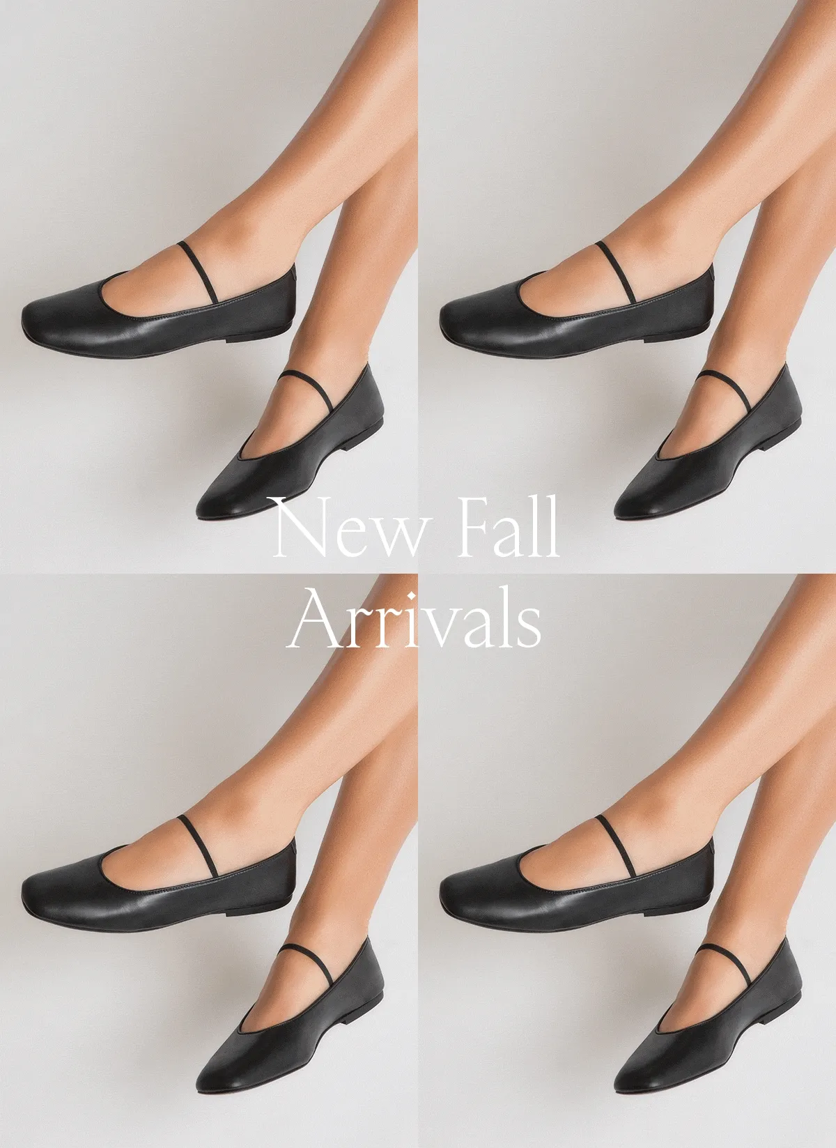 New Fall Arrivals