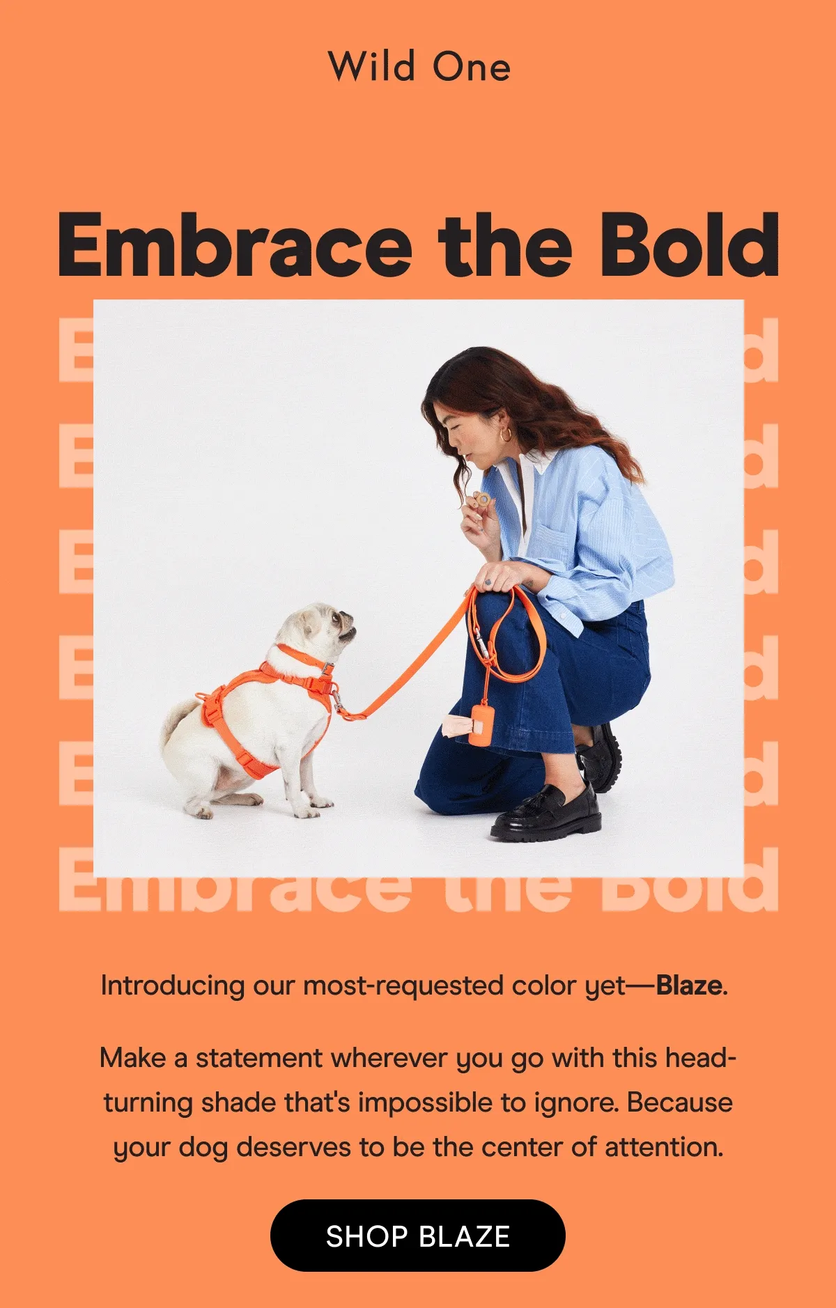 Our most requested color is here!