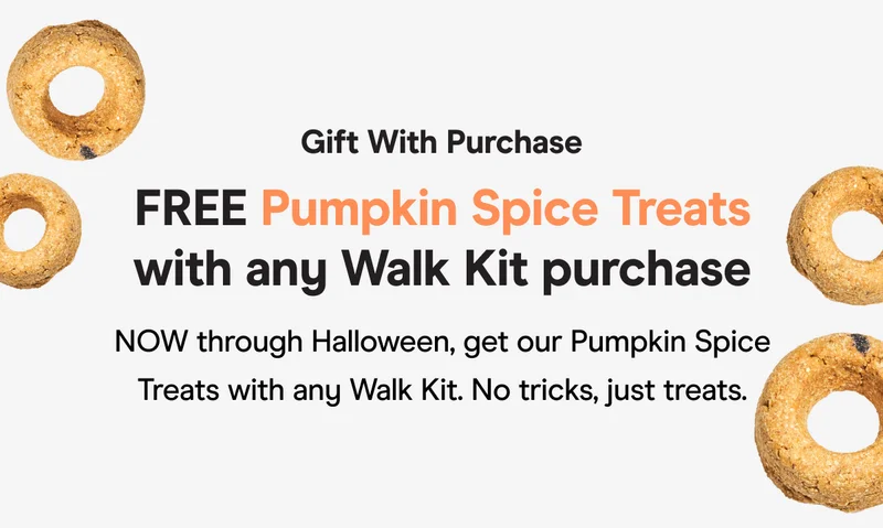 FREE Pumpkin Spice Treats with any Walk Kit purchase now through Halloween