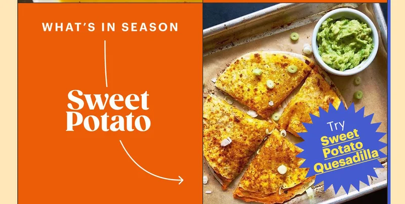 Sweet Potato Try Sweet Potato Quesadilla