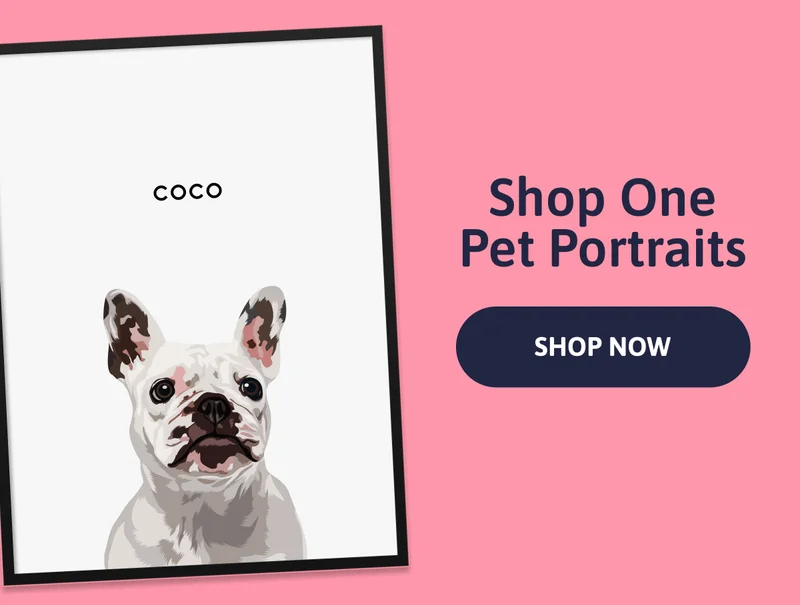 Shop One Pet Portraits