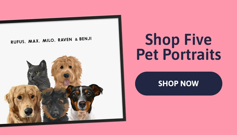 Shop Five Pet Portraits