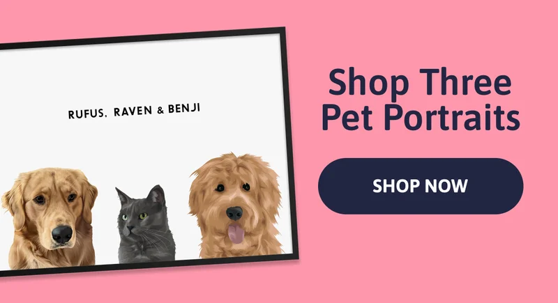 Shop Three Pet Portraits