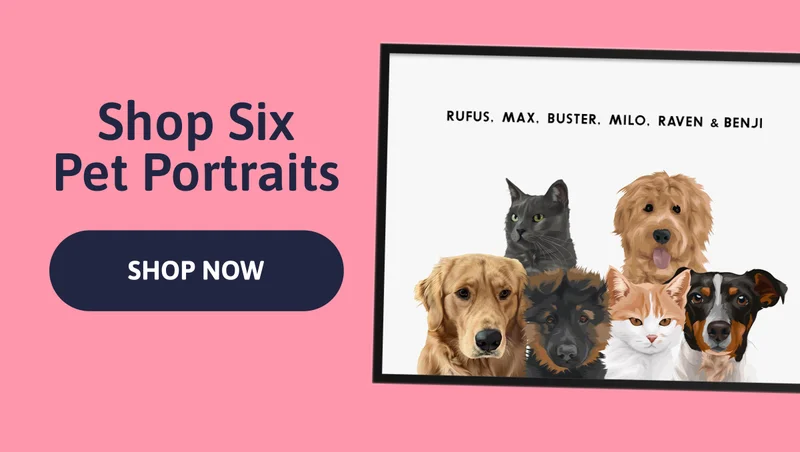 Shop Six Pet Portraits