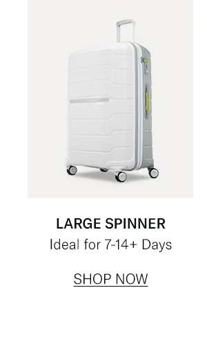 Freeform Large Spinner