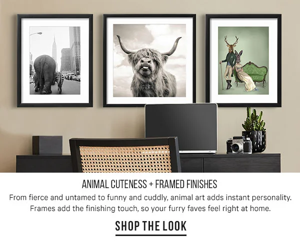 Animal Cuteness + Framed Finishes: From fierce and untamed to funny and cuddly, animal art adds instant personality. Frames add the finishing touch, so your furry faves feel right at home.