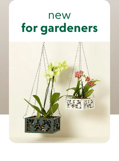 gardening