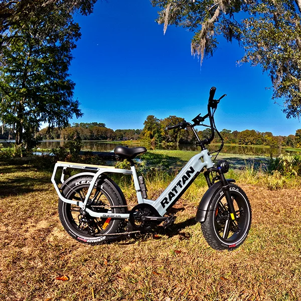 Rattan Ebike