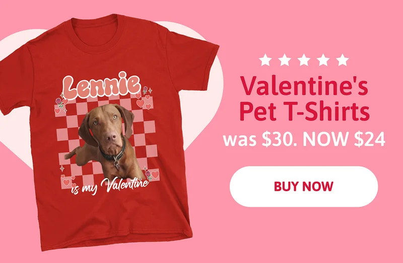 Valentine's Pet T-shirt. was $30. NOW $24