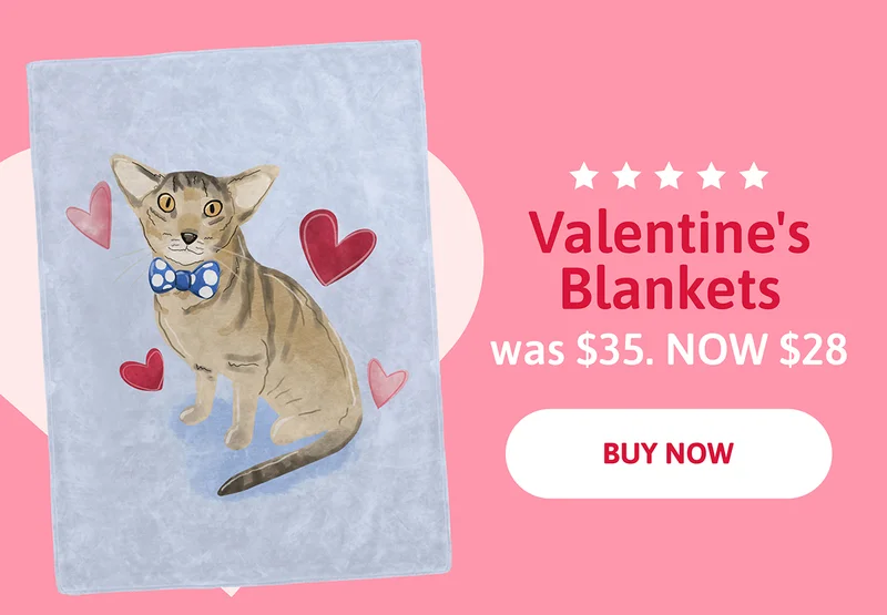 Valentine's Blanket. was $35. NOW $28
