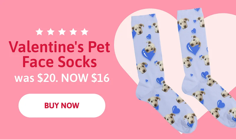 Valentine's Pet Face Socks was $20. NOW $16