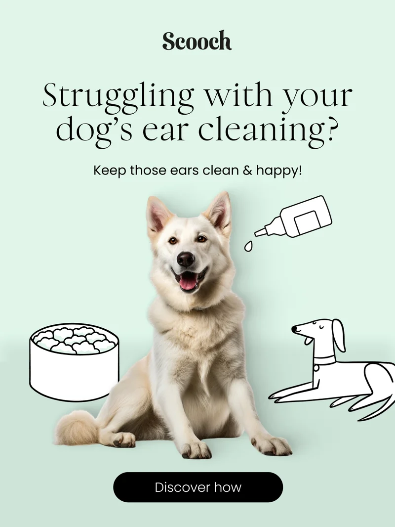 Keep those ears clean & happy! - Discover how