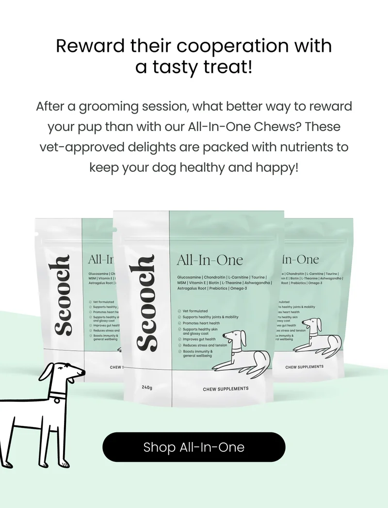 Reward their cooperation with a tasty treat! - Shop All-In-One