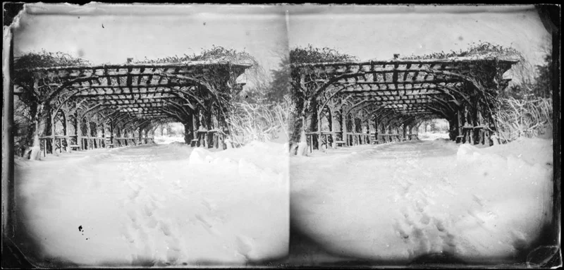 George Bradford Brainerd, Rose Arbor in Winter, Prospect Park, Brooklyn