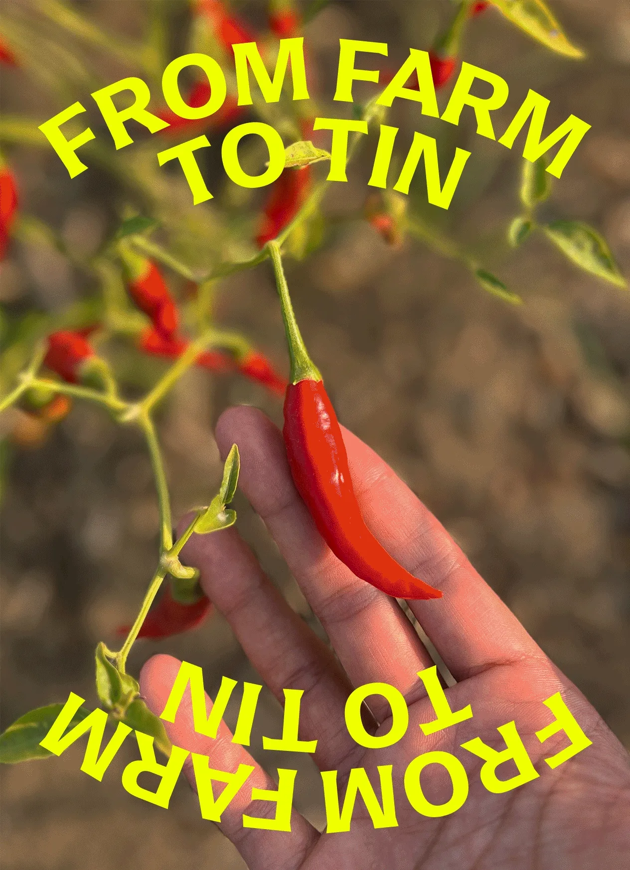 From Farm to Tin