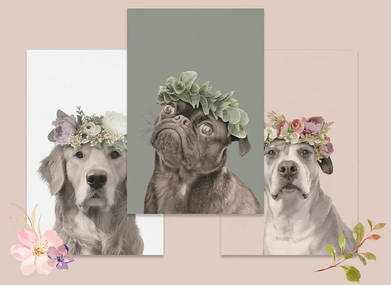Floral Crown Portraits