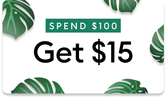 Spend $100 and Get $15.