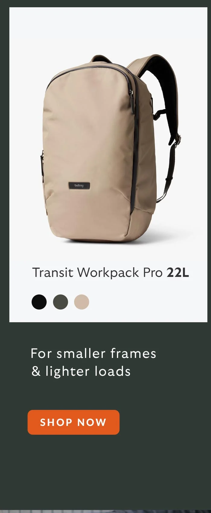 22L: For smaller frames and lighter loads