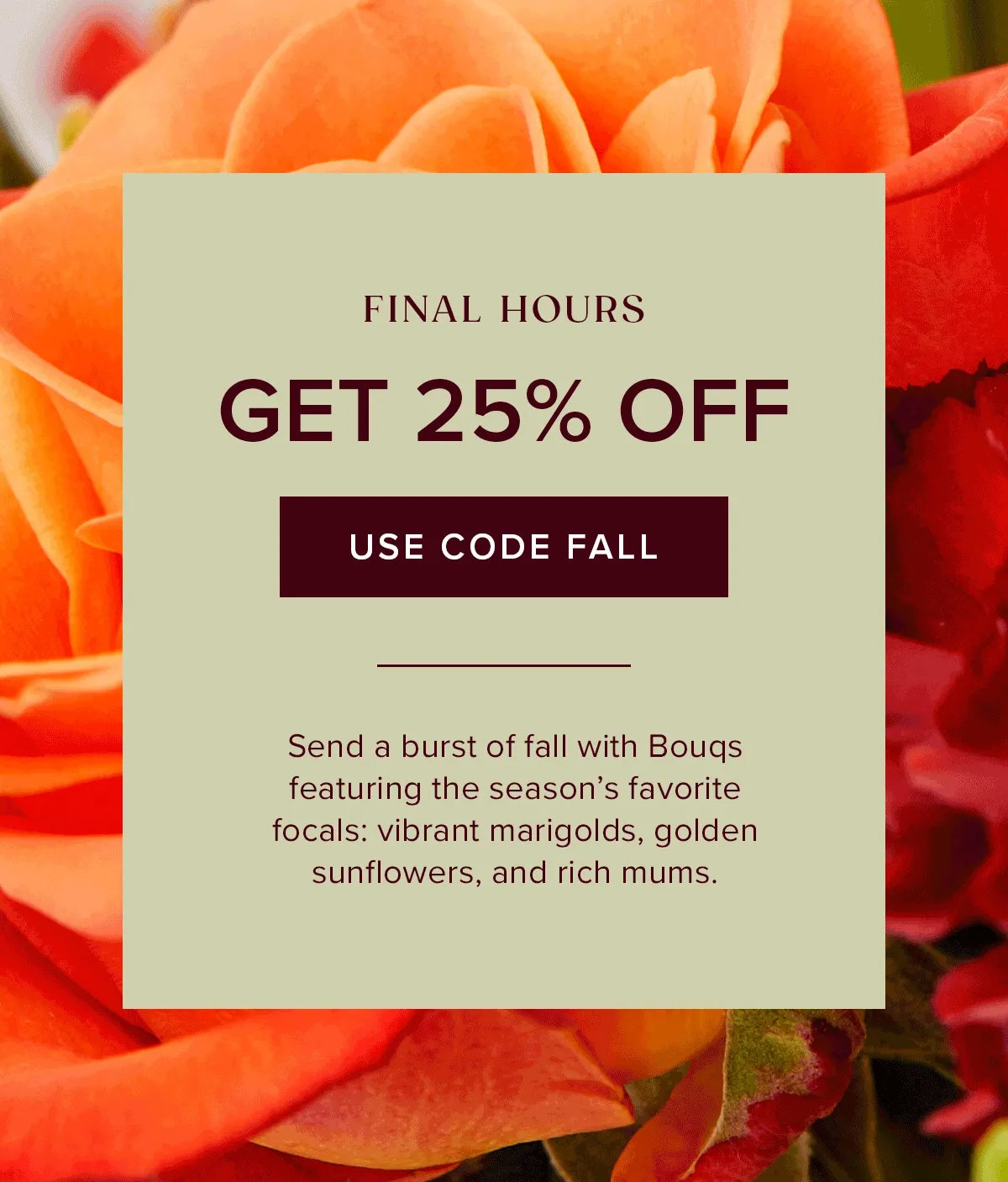 Final Hours to Get 25% OFF! Use code FALL. Send a burst of fall with Bouqs featuring the season's favorite focals: vibrant marigolds, golden sunflowers, and rich mums. Final Hours to Get 25% OFF! Use code FALL. Send a burst of fall with Bouqs featuring the season's favorite focals: vibrant marigolds, golden sunflowers, and rich mums.