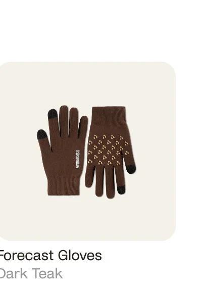 Forecast Gloves