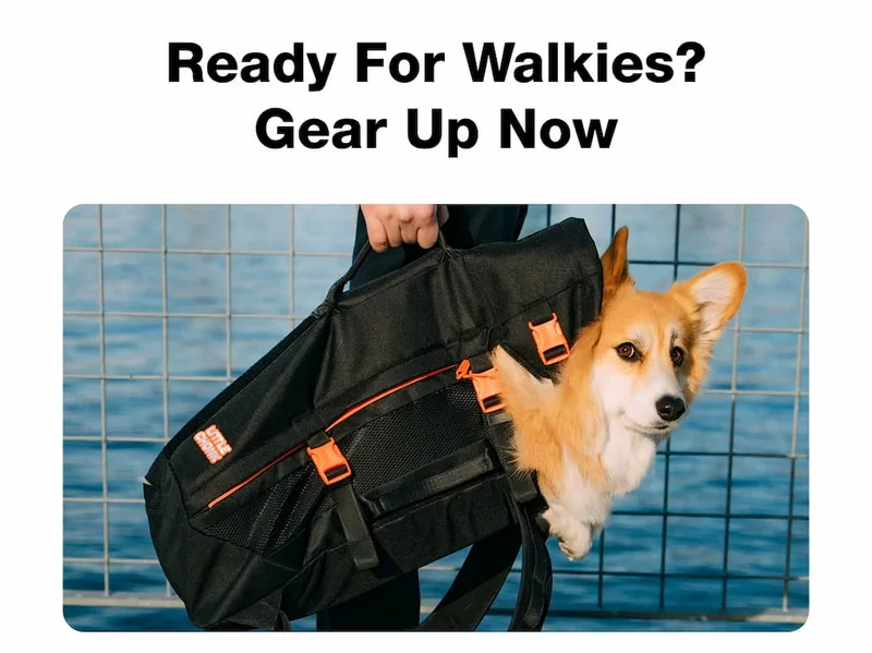 Ready For Walkies? Gear Up Now