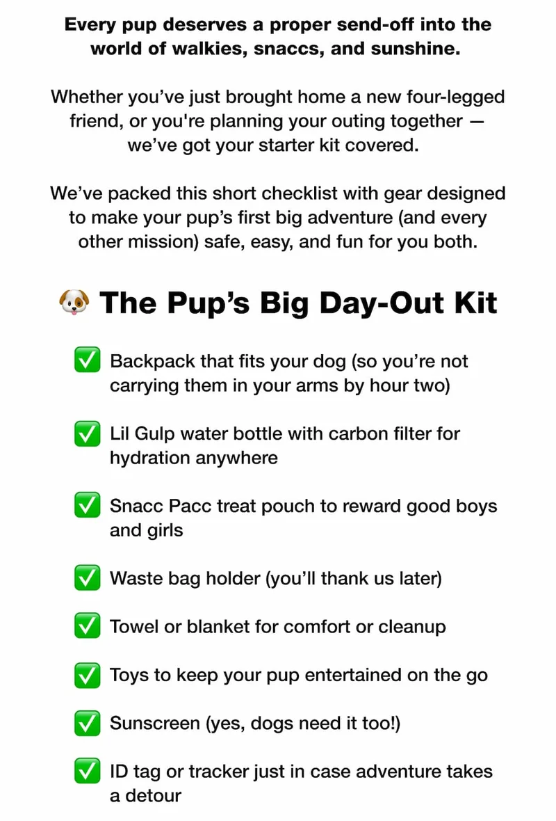 🐶 The Pup’s Big Day-Out Kit