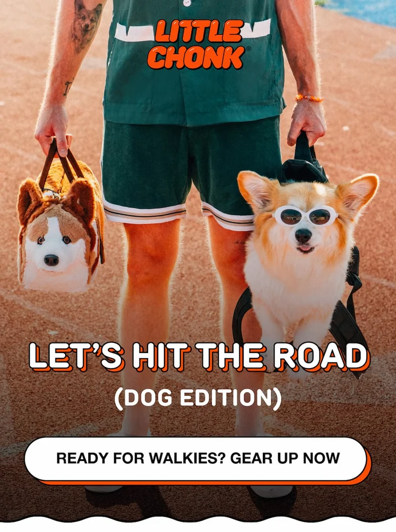 Let’s Hit the Road (Dog Edition)
