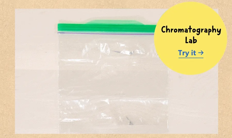 Chromatography Lab