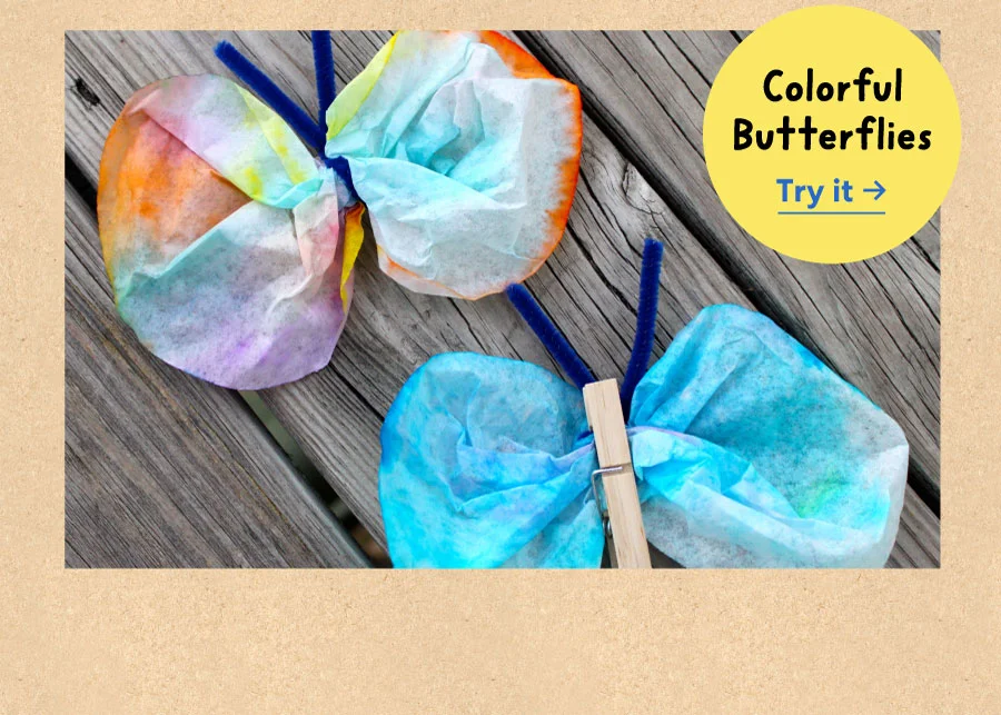 Colorful Butterflies