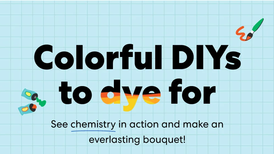 Colorful DIYs to dye for!