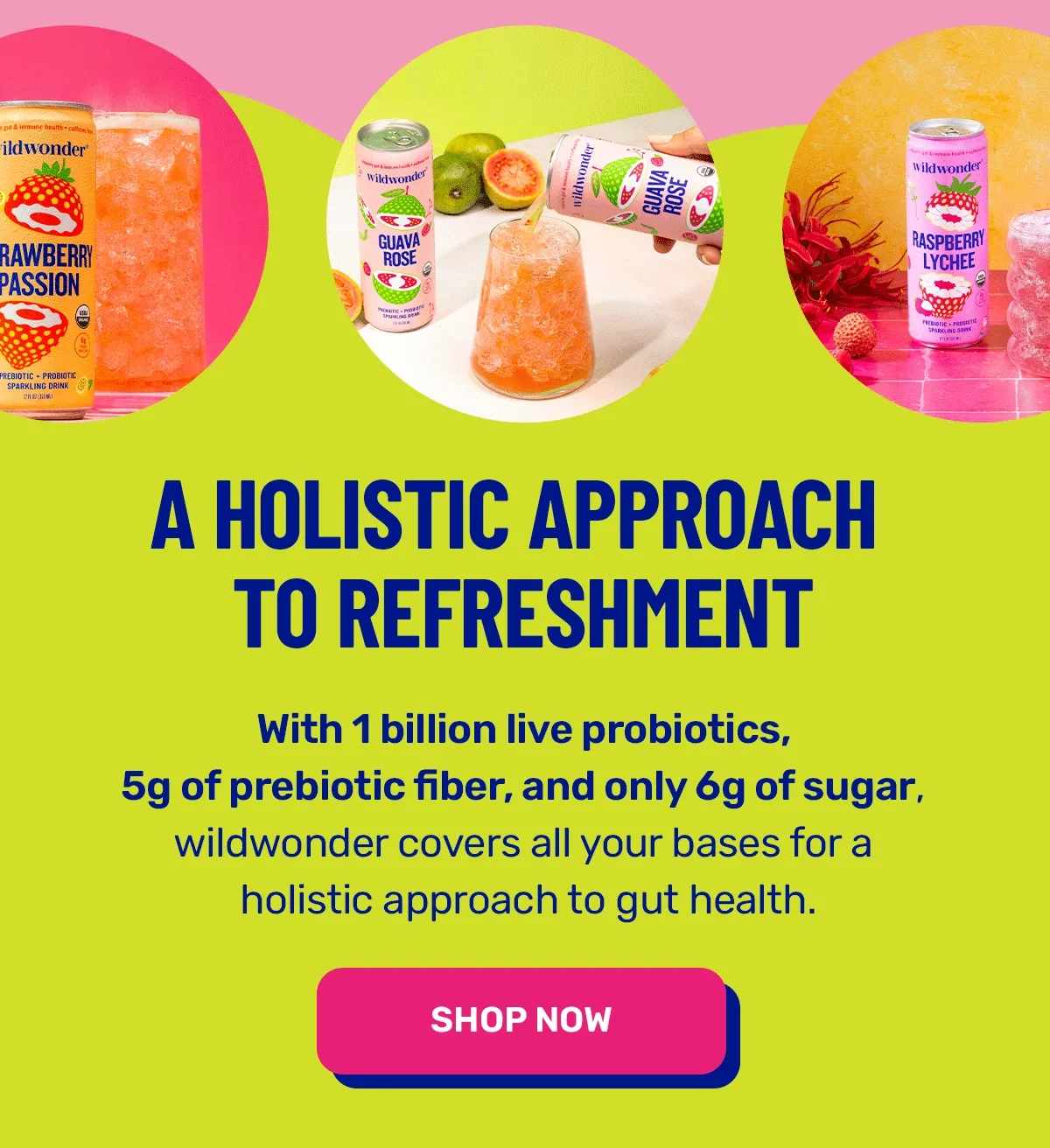 Drink wildwonder for better gut health
