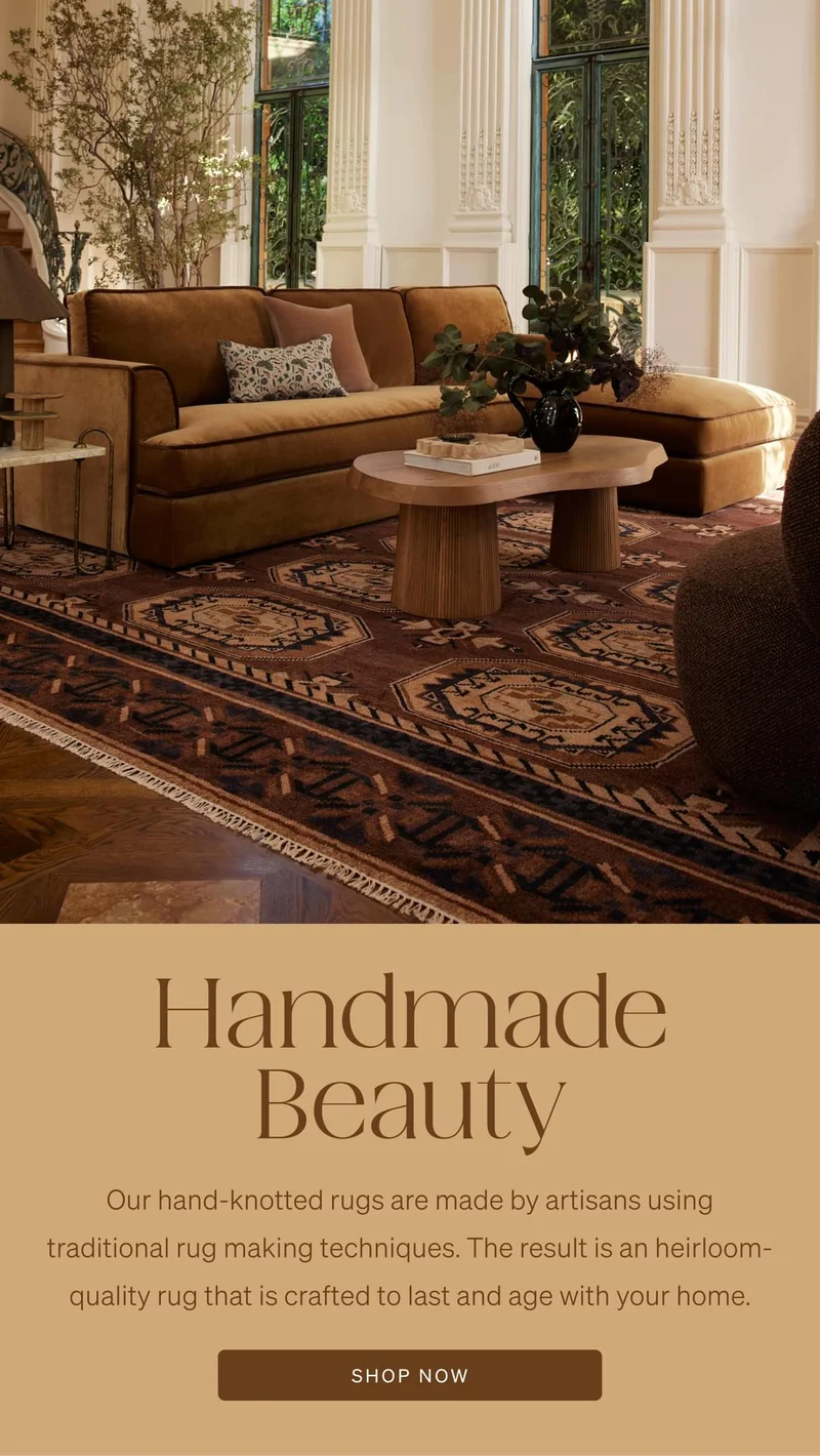 Shop Hand-Knotted Rugs
