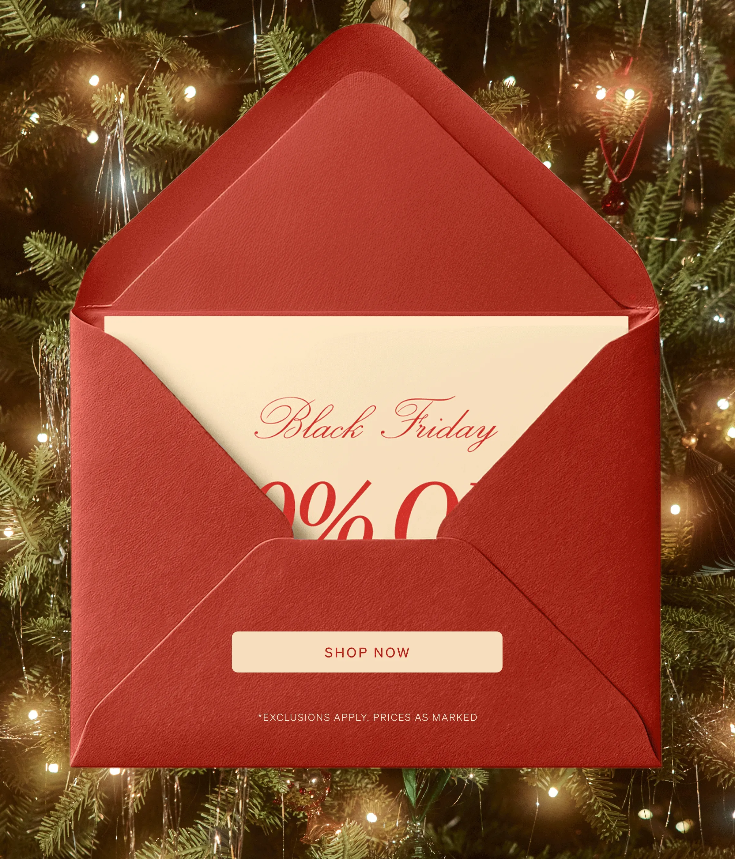 Shop our Black Friday Sale