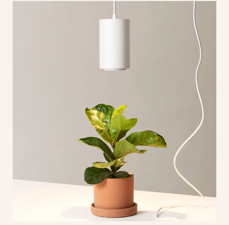 Pendant Grow Light
